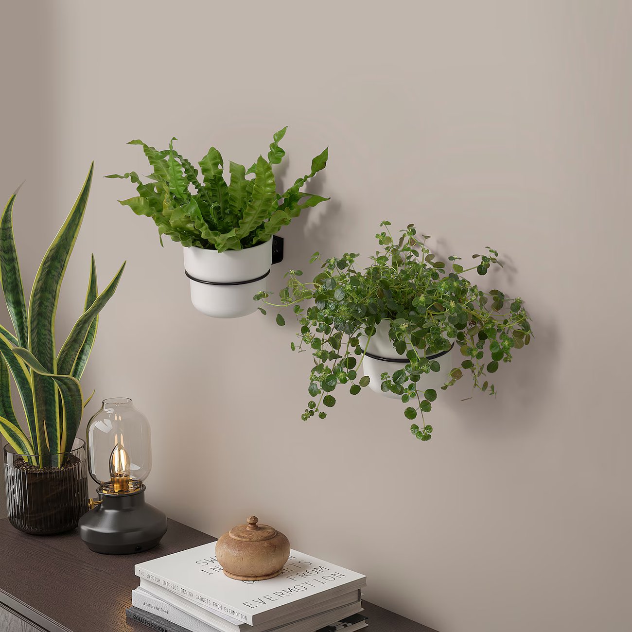 KLOTTHUJA Halter für Blumentopf