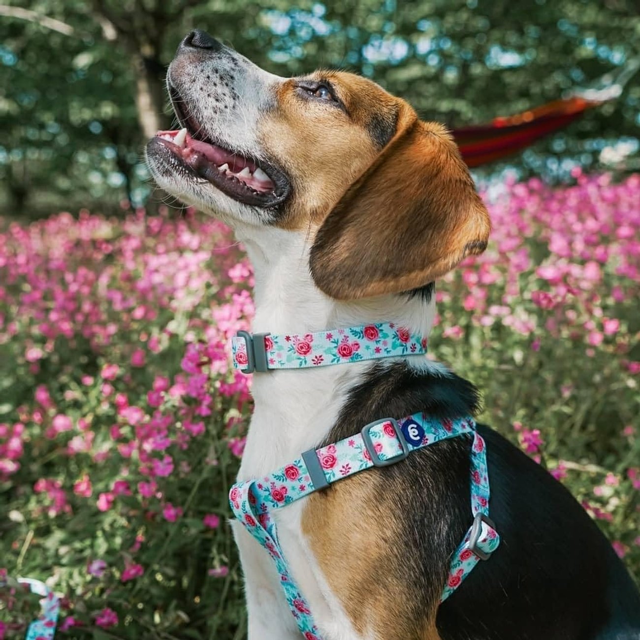 Blueberry Pet Essentials Frühlingsduft Hundeleine