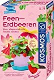 KOSMOS 657819 Feen-Erdbeeren Experimentierset für Kinder