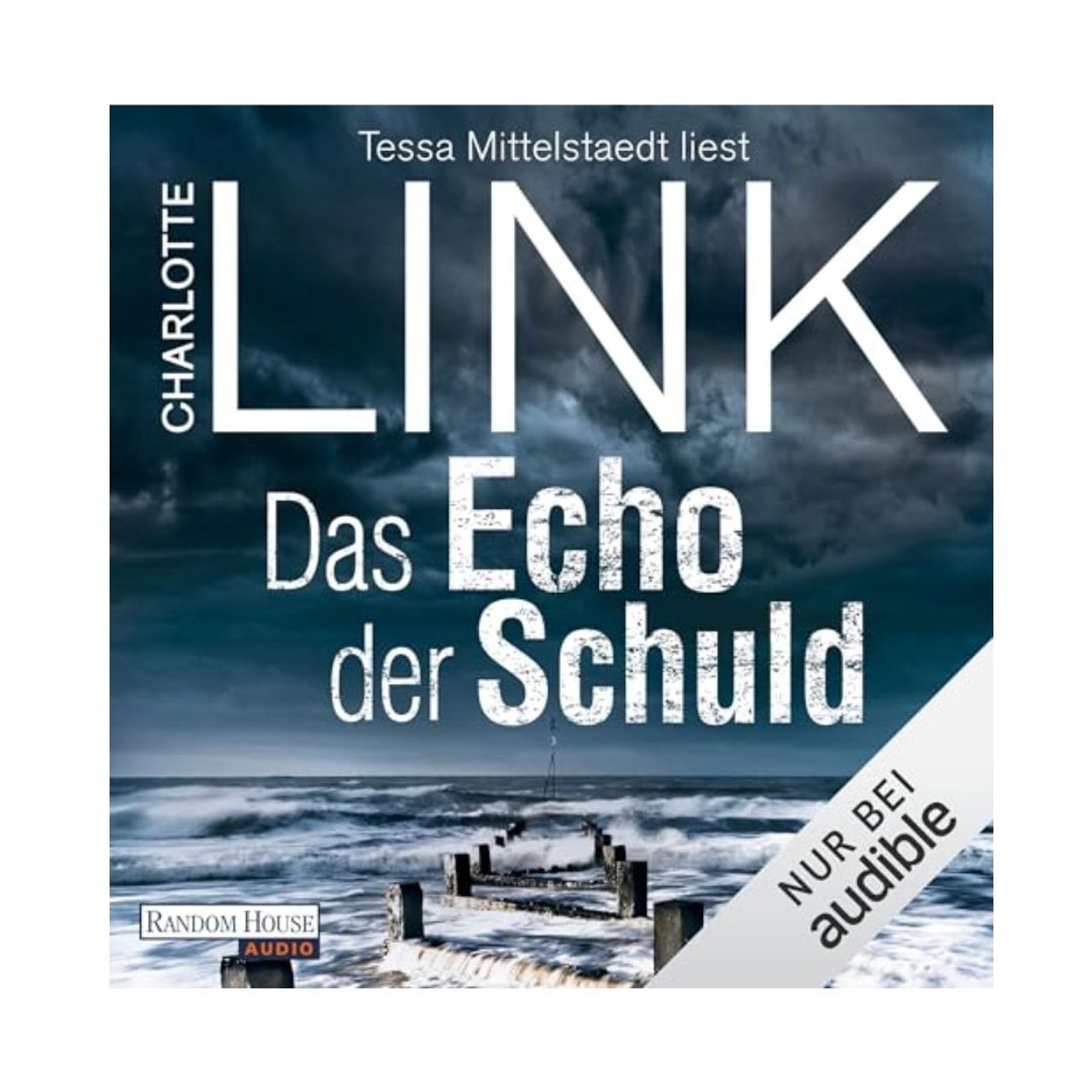 Das Echo der Schuld