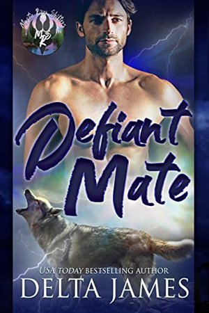 Defiant Mate: Eine Kleinstadt-Shifter-Romanze (Mystic River Shifters 1)