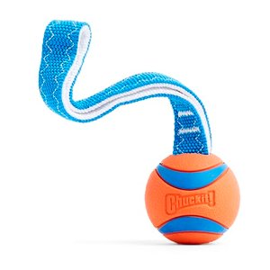 Chuckit! CH231201 Ultra Tug Medium