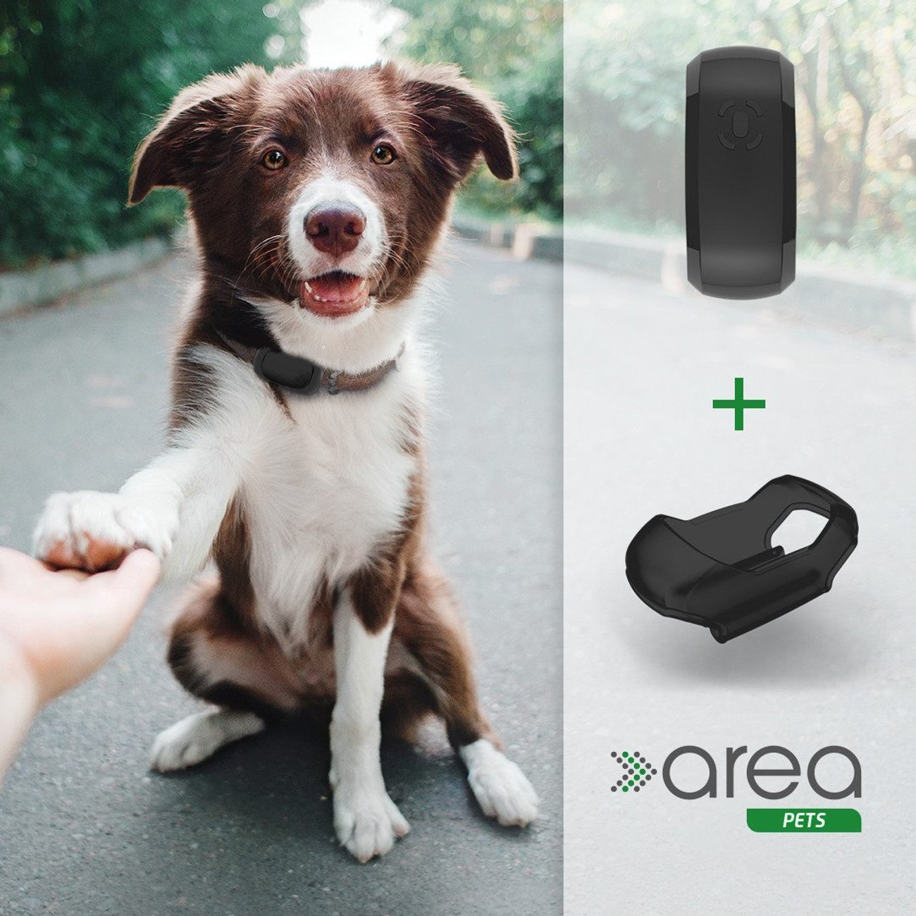 GPS-Tracker für Tiere