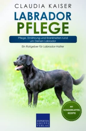 Labrador Pflege: Pflege, Ernährung und Krankheiten rund um Deinen Labrador