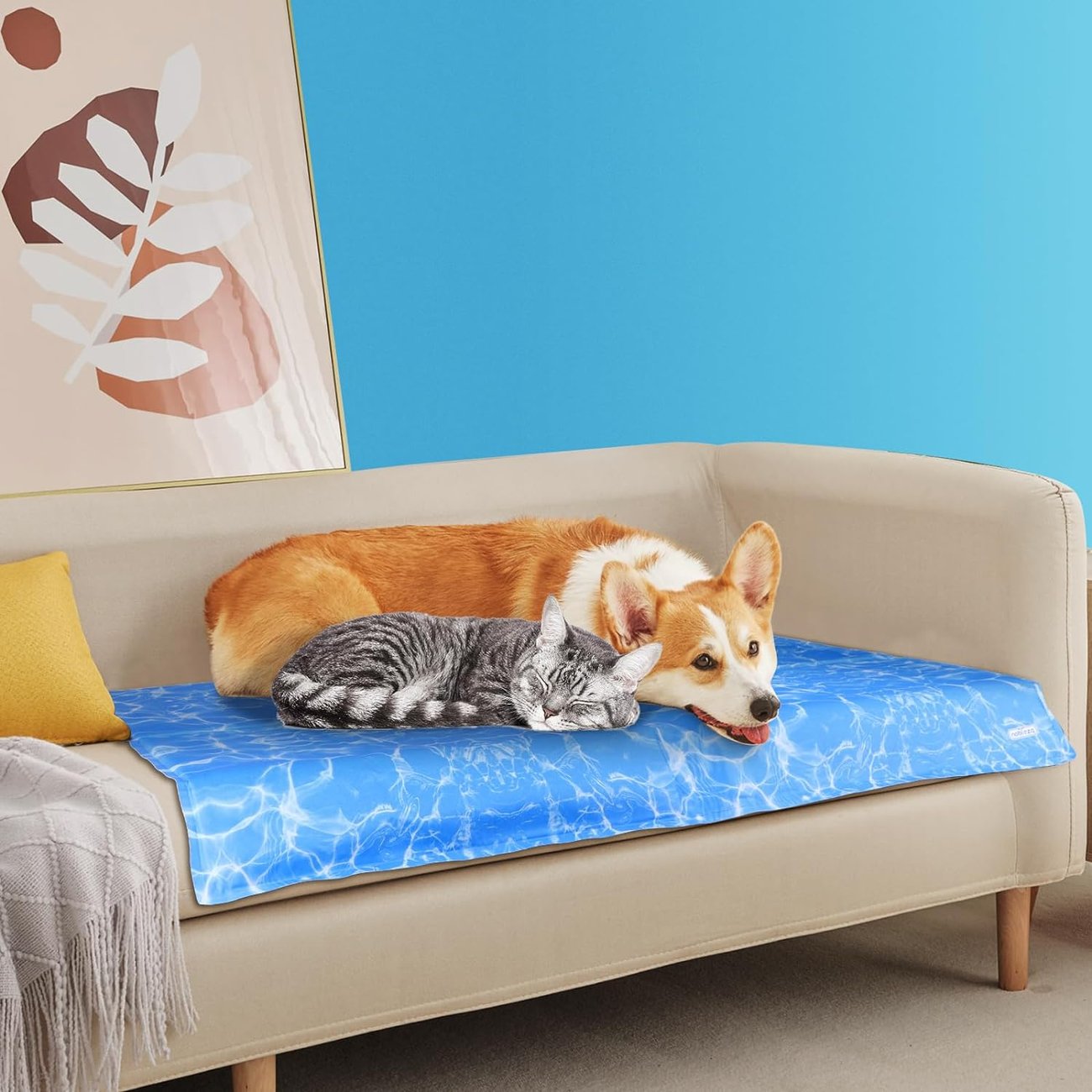 Kühlmatte für Hund und Katze