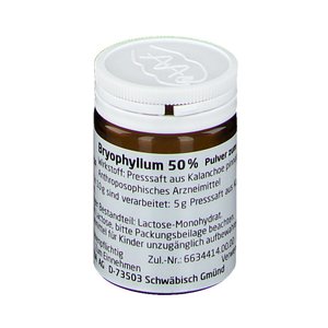 Bryophyllum 50% Pulver