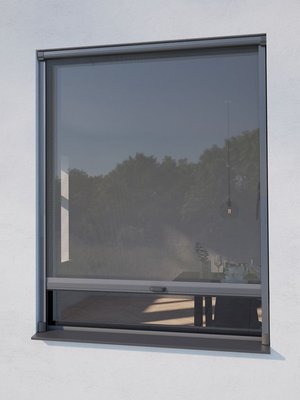 Insektenschutzrollo NYORD