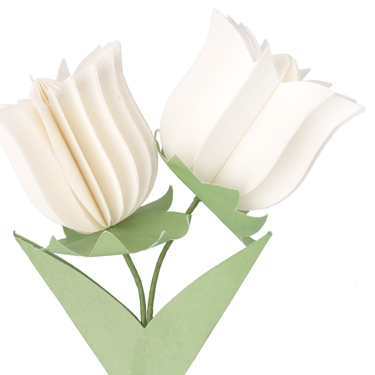 Papierblume Tulpe