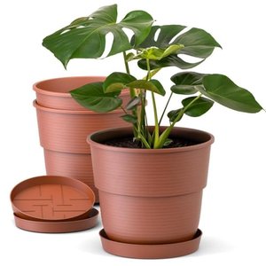 3er-Set Blumentopf mit Untersetzer