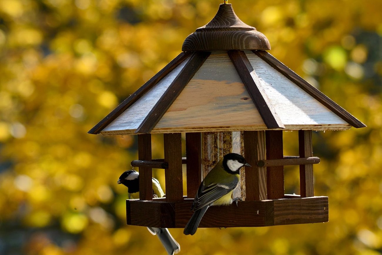 Vogelfutterhaus von Dobar