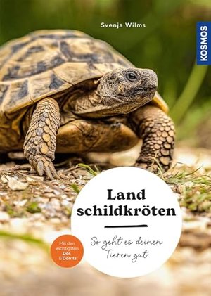Landschildkröten: So geht es deinen Tieren gut