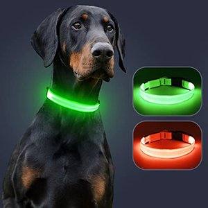 LED-Hundehalsband