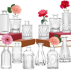 Set 12er Mini Vase Glas