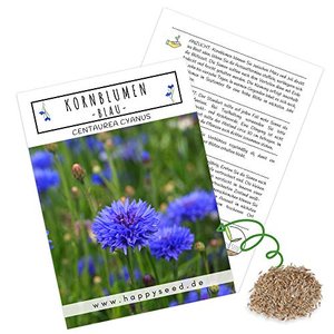 Kornblumen Samen (Centaurea cyanus) - lange Blütezeit (Blau, 1000 Korn, 80 cm)