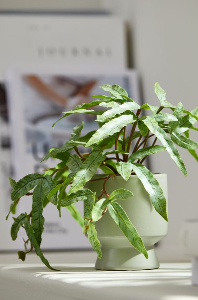 Stylisch & gnstig: Das sind die 14 besten Jysk-Produkte frs Schlafzimmer