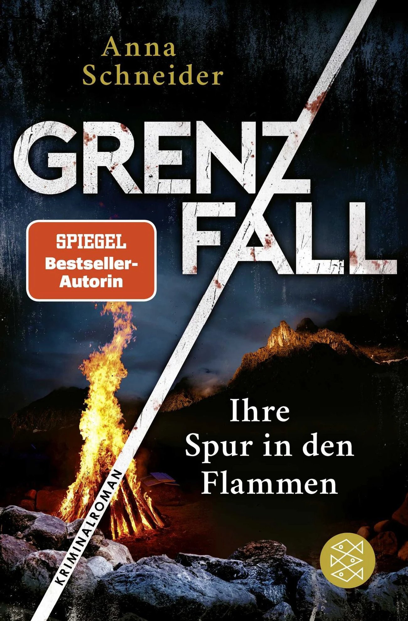 Grenzfall – Ihre Spur in den Flammen: Kriminalroman