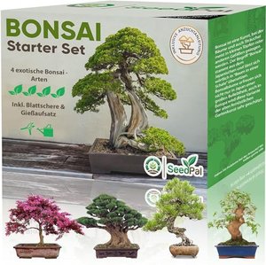 Easy Bonsai Starter Kit